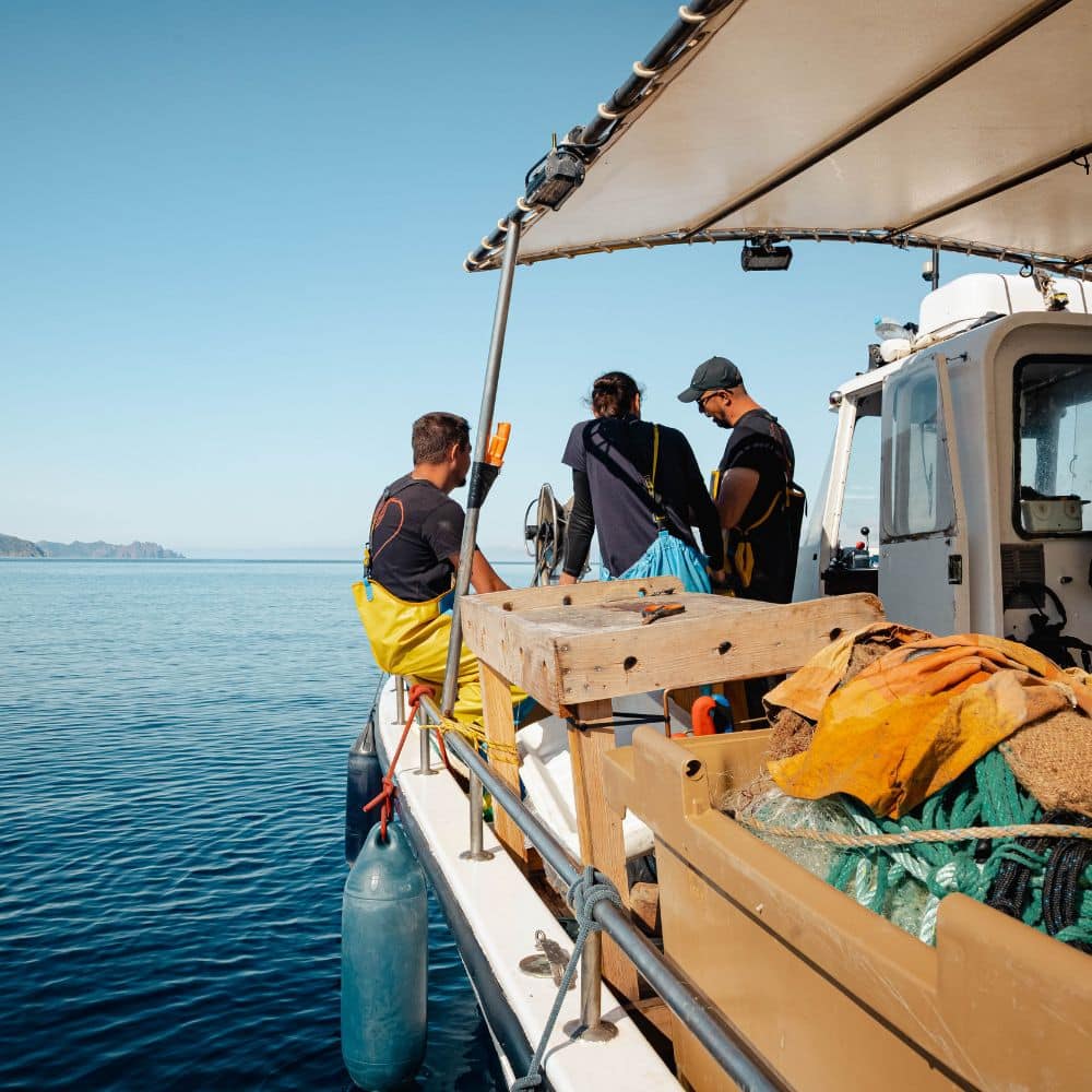 reportage photographique pêche en Corse