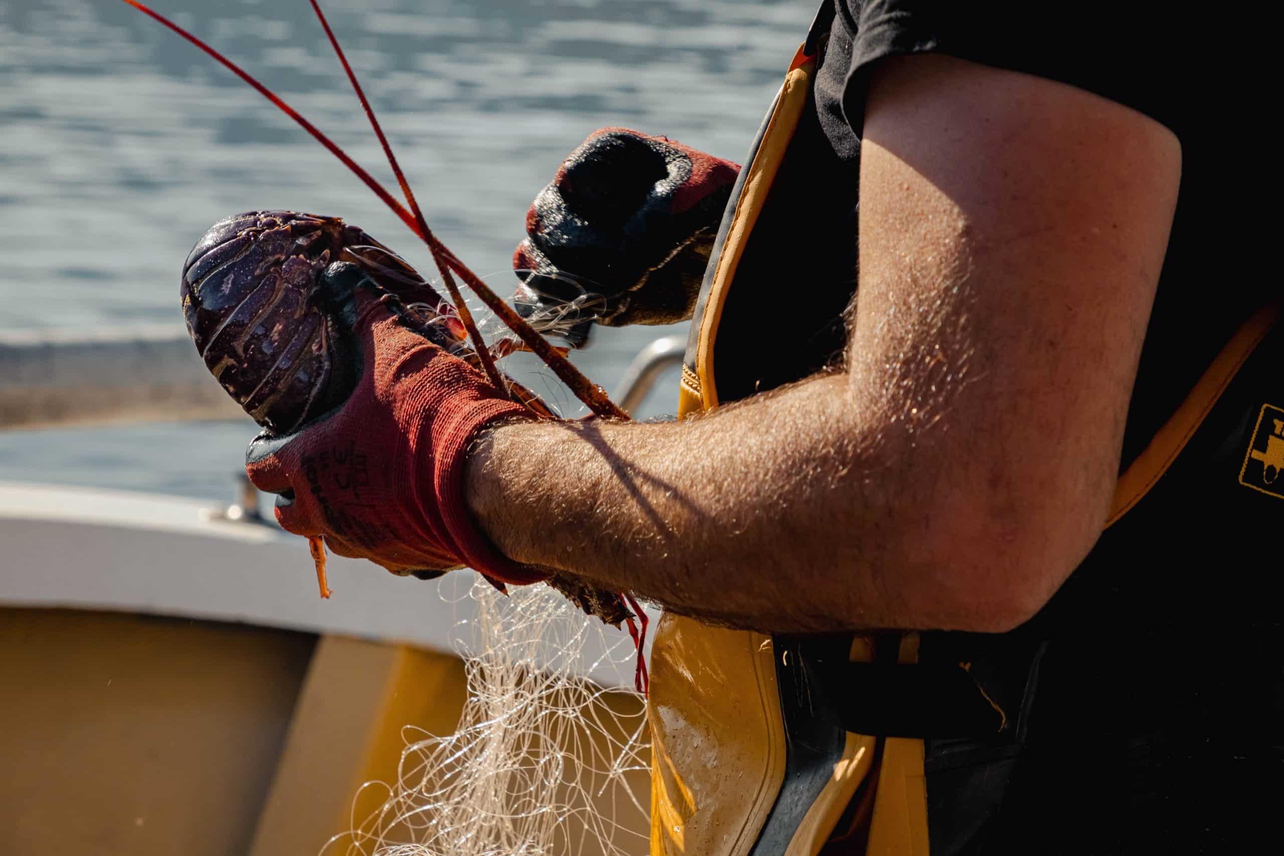 reportage photo pêche artisanale Corse